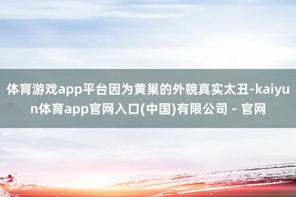 体育游戏app平台因为黄巢的外貌真实太丑-kaiyun体育app官网入口(中国)有限公司 - 官网