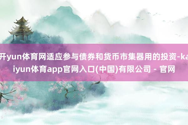 开yun体育网适应参与债券和货币市集器用的投资-kaiyun体育app官网入口(中国)有限公司 - 官网
