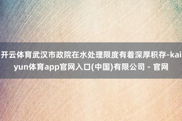 开云体育武汉市政院在水处理限度有着深厚积存-kaiyun体育app官网入口(中国)有限公司 - 官网