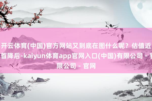 开云体育(中国)官方网站又到底在图什么呢？　　估值近5年首降后-kaiyun体育app官网入口(中国)有限公司 - 官网