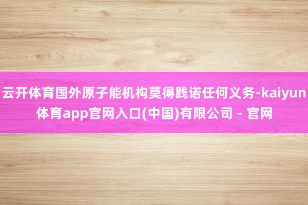 云开体育国外原子能机构莫得践诺任何义务-kaiyun体育app官网入口(中国)有限公司 - 官网